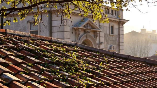 10 avantages de faire appel à un façadier à Saint-Étienne