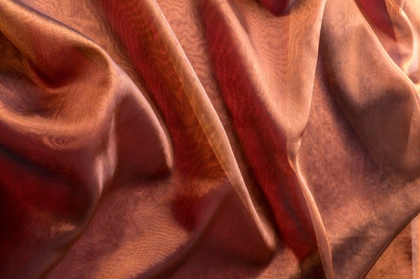 Quels sont les avantages d'utiliser un voile d'hivernage pour protéger vos plantes en hiver ?