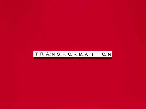 Comment le compostage à domicile peut transformer vos déchets verts en ressources précieuses