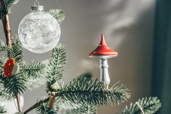 Décoration éco-responsable : Comment embellir votre maison de manière durable