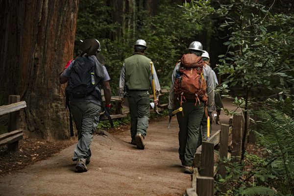 Tire-fort forestier : à quel moment s'en servir ?