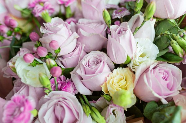 Découvrez l'élégance des roses éternelles