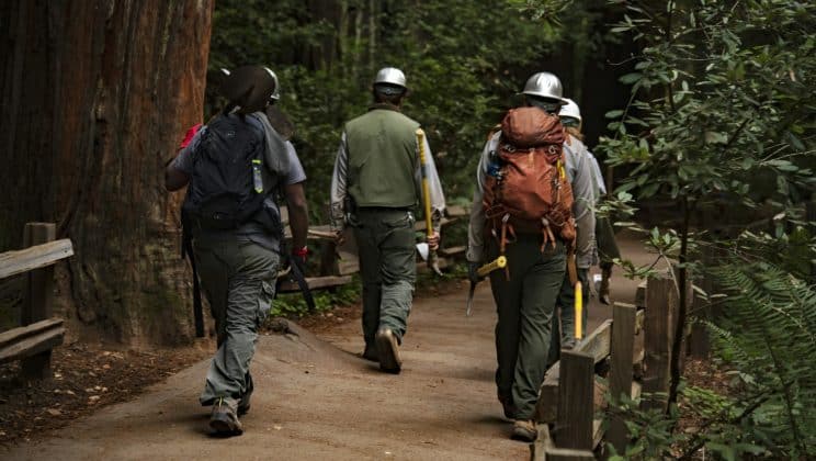 Tire-fort forestier : à quel moment s’en servir ?