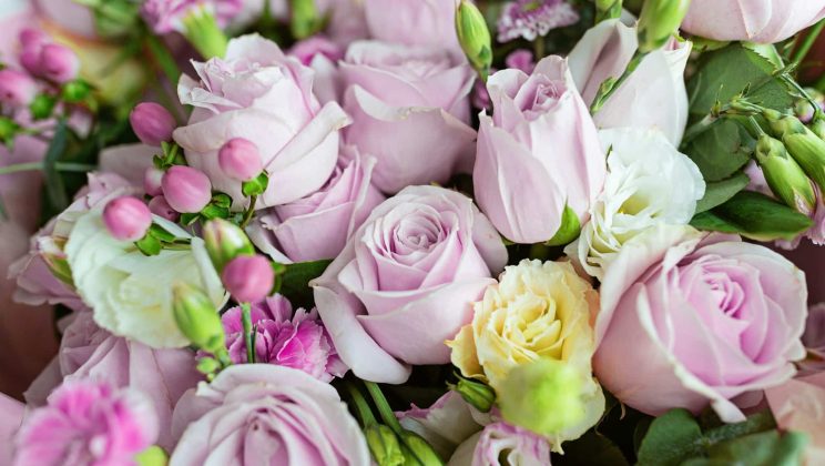 Découvrez l’élégance des roses éternelles
